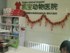 -悦宠凯宝动物医院·牙科·皮肤科(朝阳北路店)