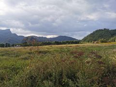 -大九湖