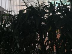 -首都医科大学附属北京潞河医院