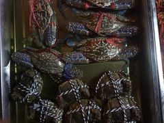 -金渝海鲜烧烤万州烤鱼店