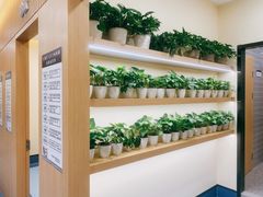 -萌兽医馆·犬猫专科·眼科中心·宠物医院(朝阳门分院)