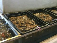 -大东方海鲜酒楼(小武基桥店)