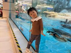 -帝企鹅自助餐厅•儿童岛•真企鹅(长隆企鹅酒店)