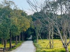 -嘉北郊野公园