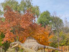 -百里山水画廊-恐龙游乐园