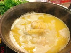 -鲜入围煮花胶鸡海鲜火锅