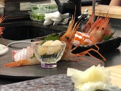 -鮨政·Omakase(港汇恒隆广场店)