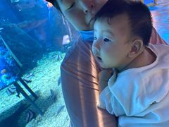 -烟台海昌鲸鲨海洋公园