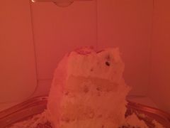 -布歌东京(金融街购物中心店)