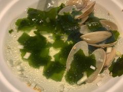 裙带菜-喜家德虾仁水饺(东方宝泰店)