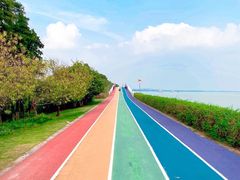-贡湖湾湿地公园