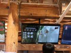 -霸王茶姬(南强街店)
