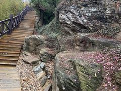 -大伊山景区