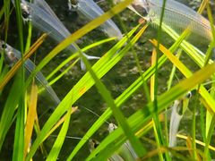 -上海海洋水族馆