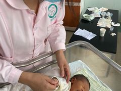 -田螺阿姨自营月嫂·育儿嫂(高新店)