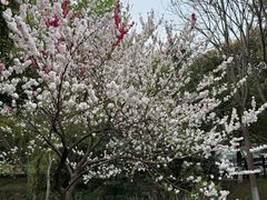 -南山风景名胜区