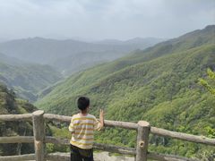 -牛背梁国家森林公园
