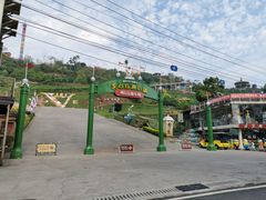 -美心红酒小镇游乐园
