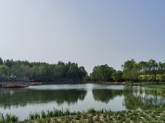 -东郊湿地公园
