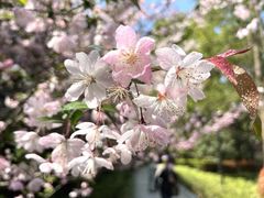 -徐家汇源景区-衡山公园