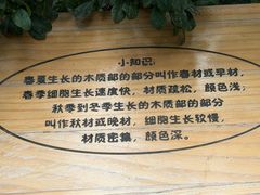 -南山植物园