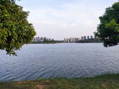 -马家斑.鲜鱼火锅(松湖万科店)