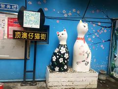 -猫咪博物馆(顶澳仔猫街店)