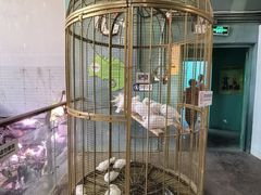 -正佳雨林生态植物园