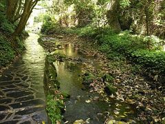 -夏霖九天银瀑风景区