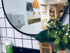 -柴迷FANS CLUB·柴犬狗咖·猫咖
