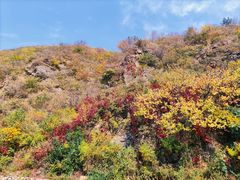 -百里山水画廊