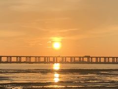 -宝安西湾红树林湿地公园