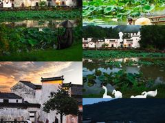 -呈坎景区
