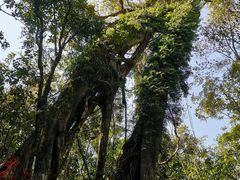 -七仙岭温泉国家森林公园