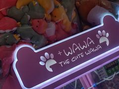-+WAWA夹娃娃专门店·抓娃娃