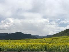 -扁都口生态休闲旅游区