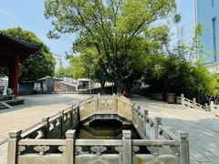 -绳金塔