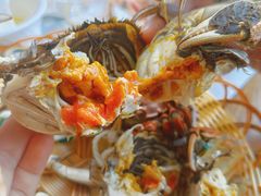 -蟹天蟹地农家菜·阳澄湖大闸蟹(浅水湾店)
