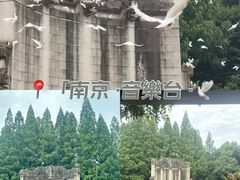 -音乐台