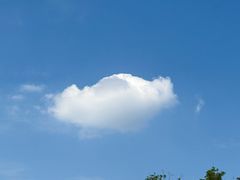 -两河城市森林公园