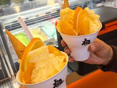 -极拉图·现制冰淇淋(大卫城店)