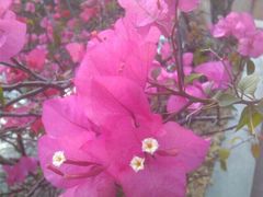 -广东外语外贸大学(白云山校区)