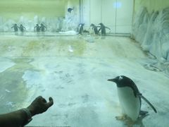 -威海华夏城景区