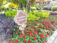 -崇圣寺三塔文化旅游区