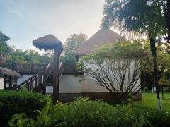 -云南民族村