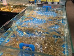 -闽海肴(北辰荟店)