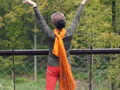 -黄海国家森林公园