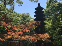 -普陀山风景区-佛顶山