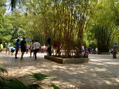 -晓港公园