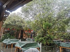 -青城甲(青城山店)